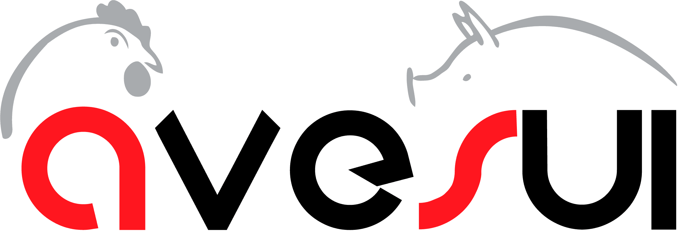 AveSui América Latina